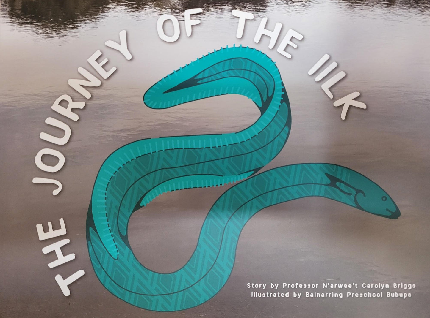 The Journey of the Iilk